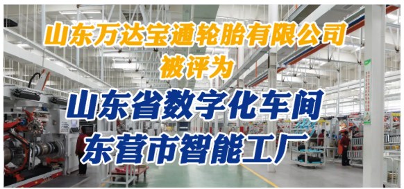 山東萬達(dá)寶通輪胎對其全年工作做了詳細(xì)總結(jié)。