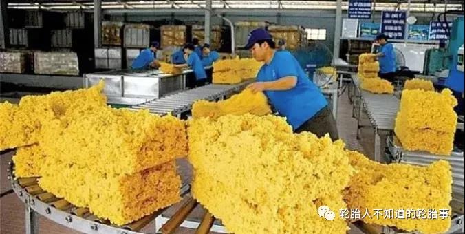 中國(guó)仍是越南橡膠最大出口市場(chǎng)