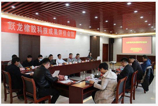 躍龍橡膠輪胎成果通過評(píng)價(jià)驗(yàn)收