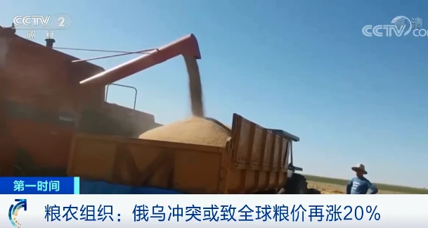 原料價格進(jìn)一步推高，飼料漲價潮重現(xiàn)
