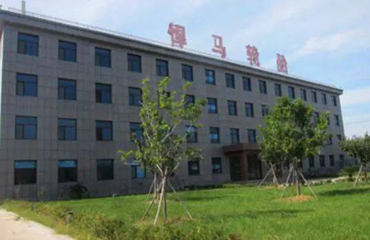 兩家輪胎公司，進入省級名單 