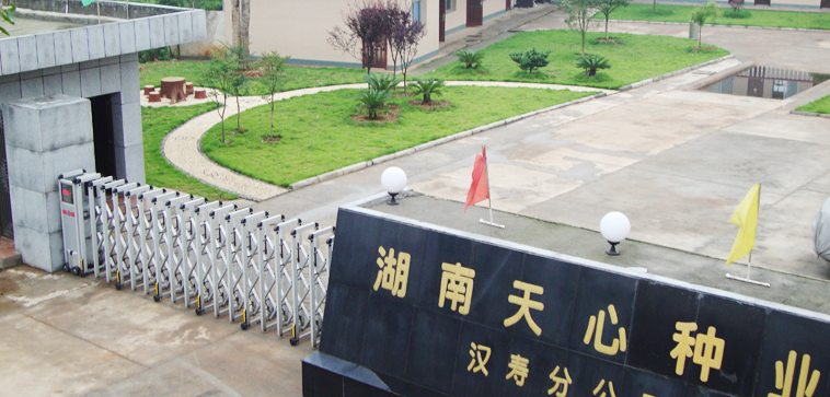 湖南天心種業(yè)股份有限公司年產(chǎn)24萬噸生豬飼料生產(chǎn)項(xiàng)目開工