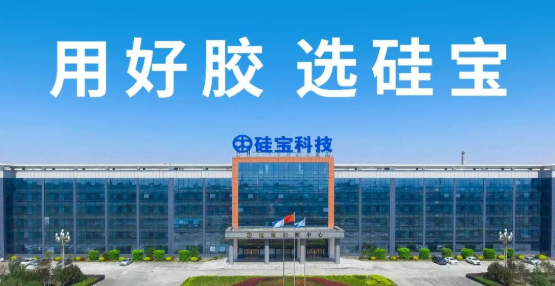 直擊行業(yè)難點和痛點，硅寶又一新技術(shù)達(dá)“國際先進(jìn)水平”