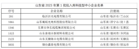 其中，東營市華東線纜集團有限公司、臨沂沂光電纜有限公司、山東鷹聯(lián)光電科技股份有限公司、山東泰瑞豐新材料有限公司、山東無棣海豐電纜有限公司、煙臺鑫泰電纜有限公司等多家電線電纜企業(yè)進入山東省2023年第1批擬入庫科技型中小企業(yè)名單。