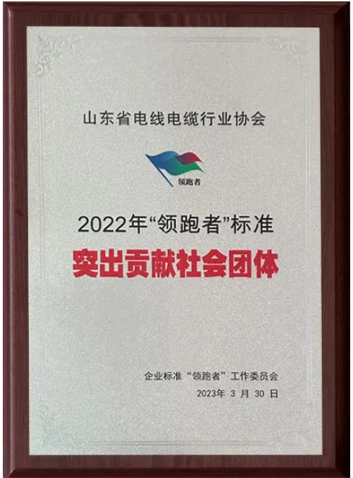 會上，山東省電線電纜行業(yè)協(xié)會獲“2022年‘領(lǐng)跑者’標(biāo)準(zhǔn)突出貢獻社會團體”“2022年‘領(lǐng)跑者’榜單突出貢獻評估機構(gòu)”兩項殊榮。授牌儀式隆重舉行，這也標(biāo)志著山東省電線電纜行業(yè)協(xié)會在企業(yè)標(biāo)準(zhǔn)“領(lǐng)跑者”制度的評價工作中取得了重要成果。