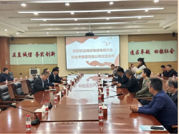 山東泰開電纜有限公司總經(jīng)理張愛華陪同下，交流團一行人參觀了集團展廳，詳細了解集團的發(fā)展歷程、經(jīng)營理念、科研創(chuàng)新、核心零部件等情況，同時考察了集團下屬高壓、電纜制造現(xiàn)場。在座談會上，雙方就技術(shù)研發(fā)、生產(chǎn)管理、質(zhì)量控制、員工獎勵等方面的問題進行了友好互動交流。